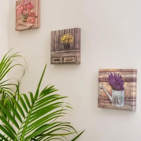 Apartment Bacicagiuba