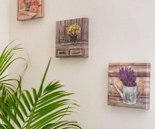 Apartamento Bacicagiuba